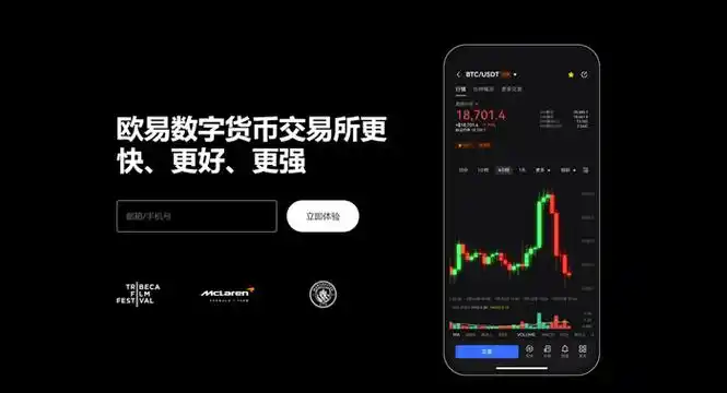 OK币官方网站页面展示